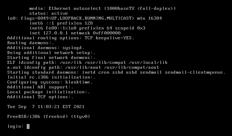 FreeBSD login prompt